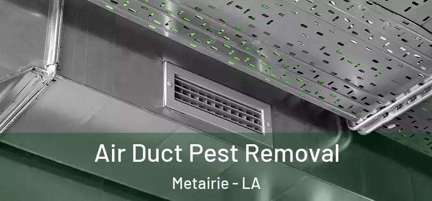  Air Duct Pest Removal Metairie - LA