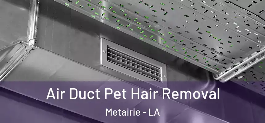  Air Duct Pet Hair Removal Metairie - LA