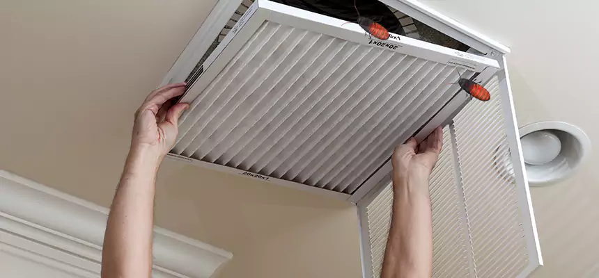 Preventive Cockroach-Proofing for Ducts in Metairie