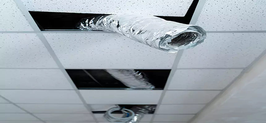 Our Air Duct Pet Hair Removal Services in Metairie, LA