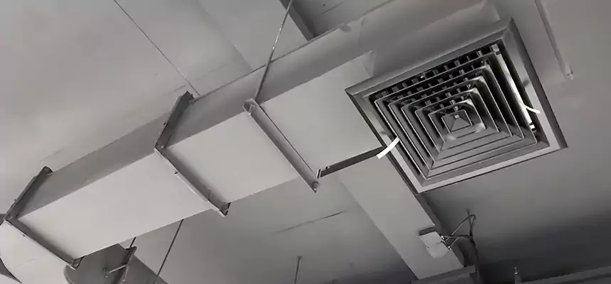 Restorative Allergy Relief Vent Cleaning – Coil, Blower & Housing Detail in Metairie