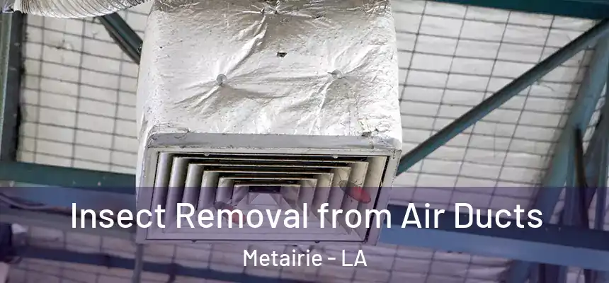  Insect Removal from Air Ducts Metairie - LA