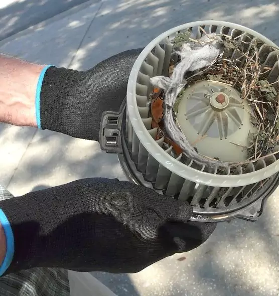 About Air Duct Mice Removal in Metairie, LA