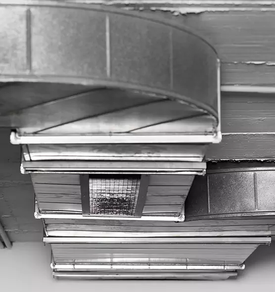 Professional Air Duct Pest Removal in Metairie, LA