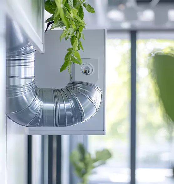 Professional Eco-Safe Dryer Vent Cleaning in Metairie, LA