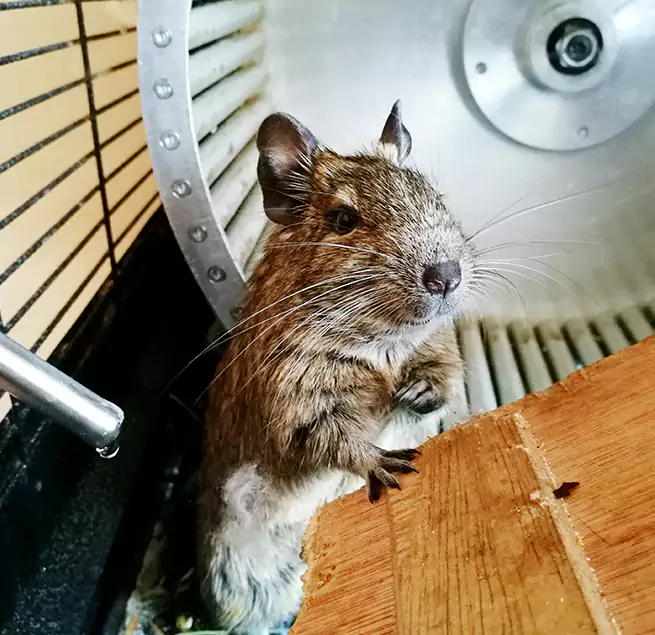 Why Homeowners & Businesses Trust Us Metairie, LA