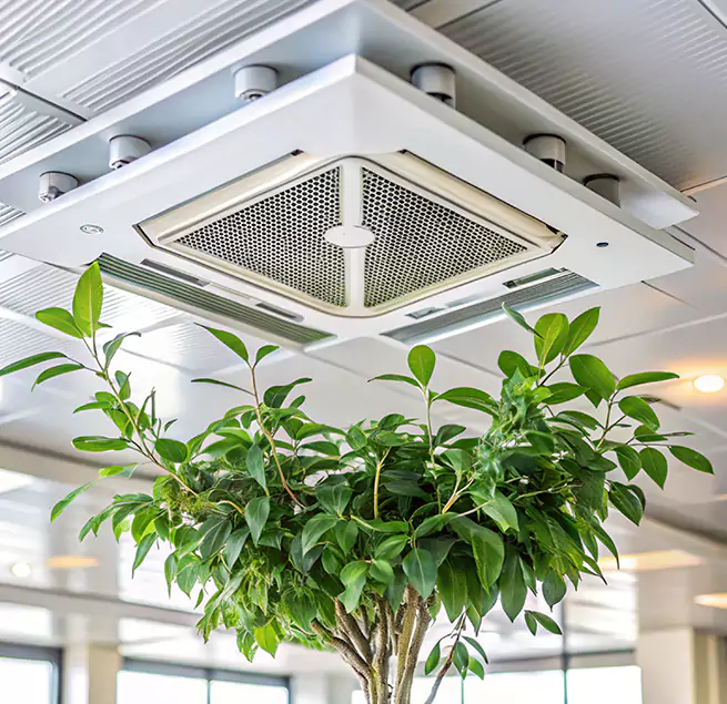 Why Homeowners & Businesses Trust Us in Metairie, LA?