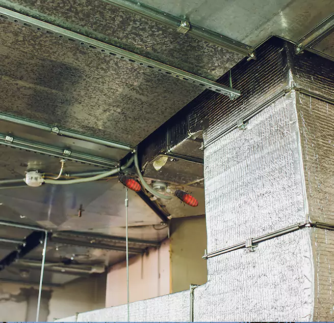 Why Homeowners & Businesses Trust Us Metairie, LA?